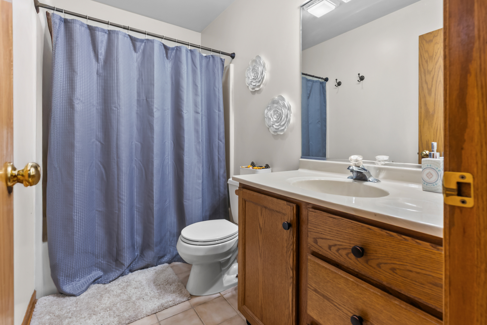 356 Ash Court, DeKalb, IL 60115