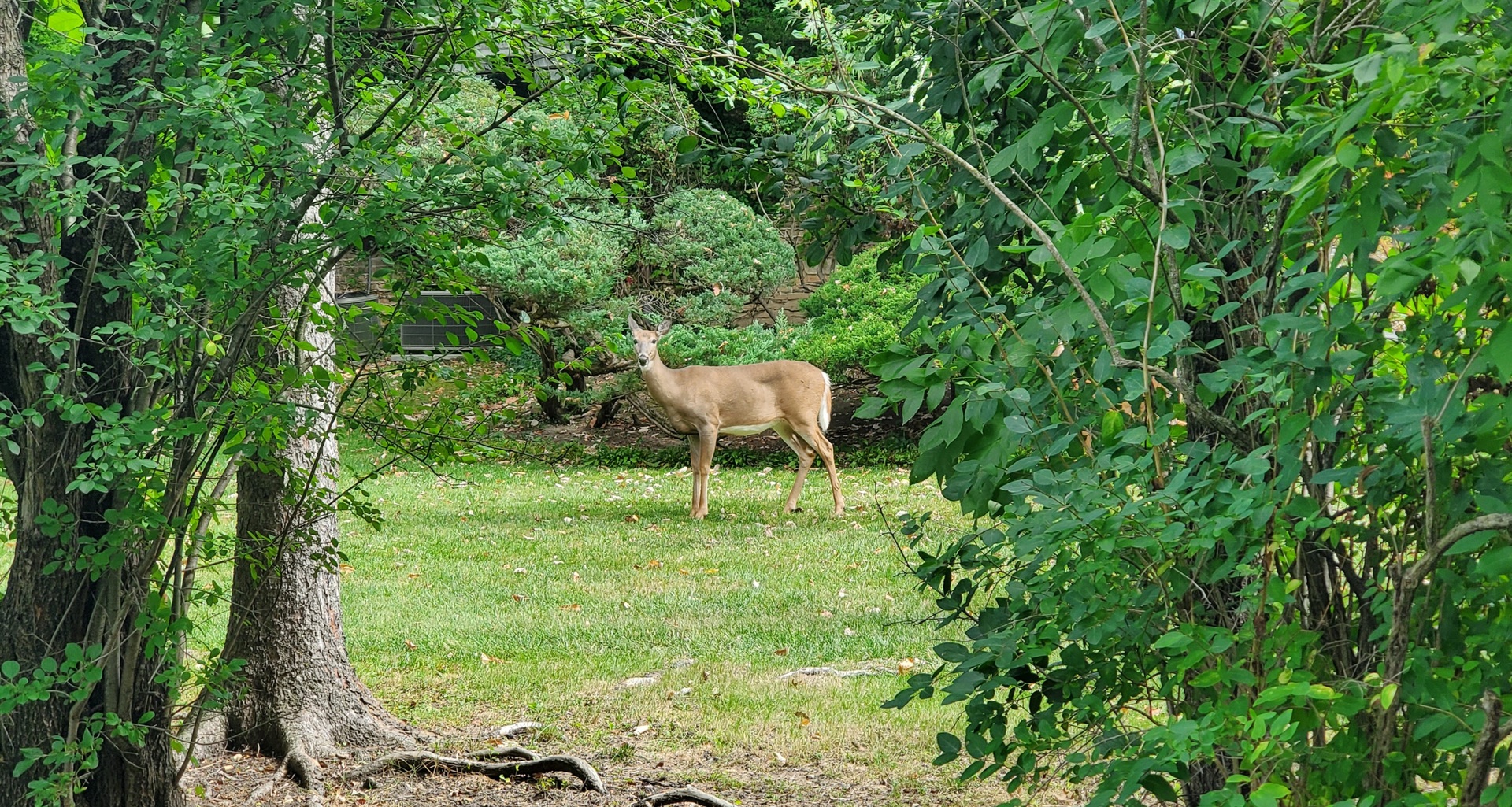 2013 Castlewood Road, Highland Park, IL 60035