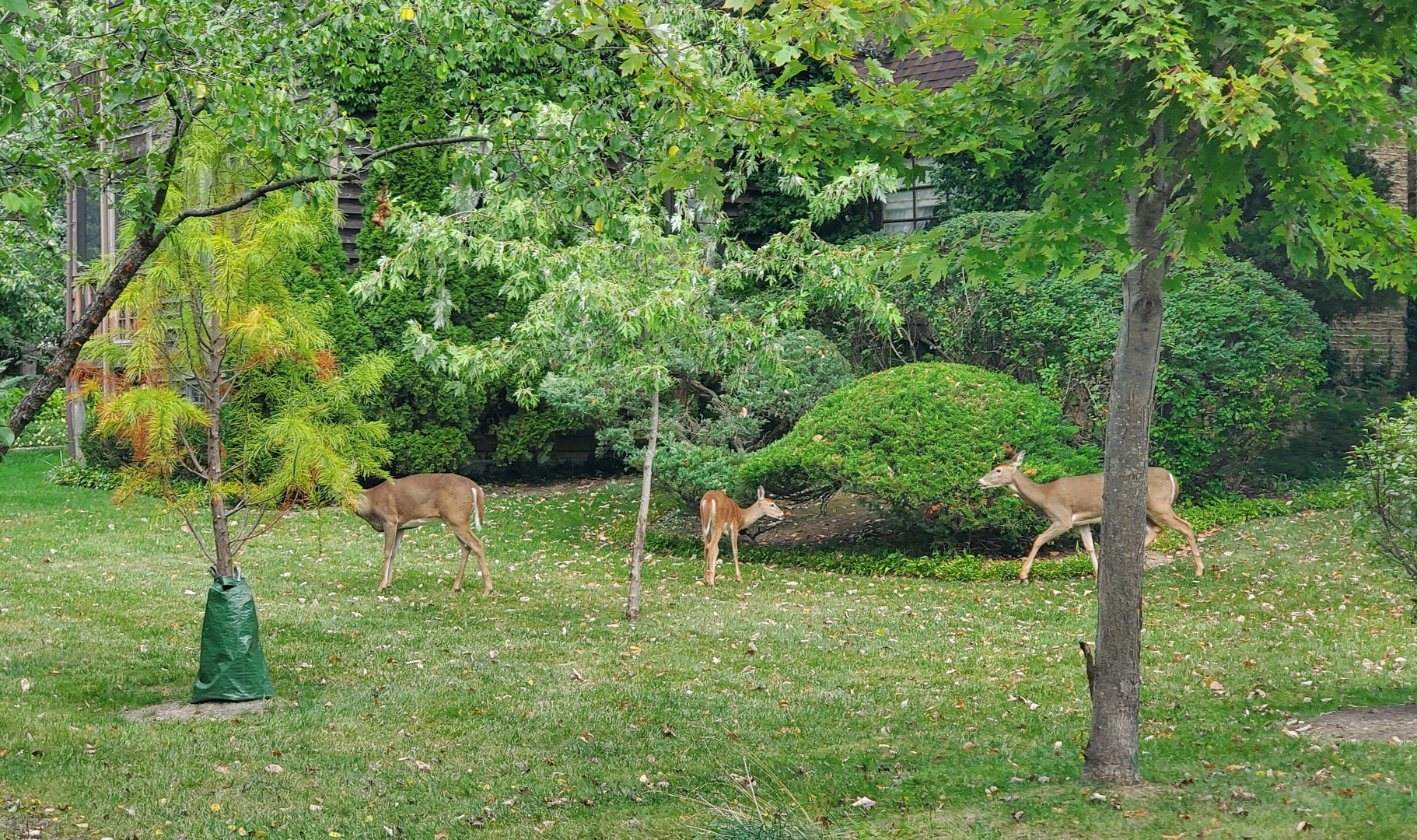 2013 Castlewood Road, Highland Park, IL 60035