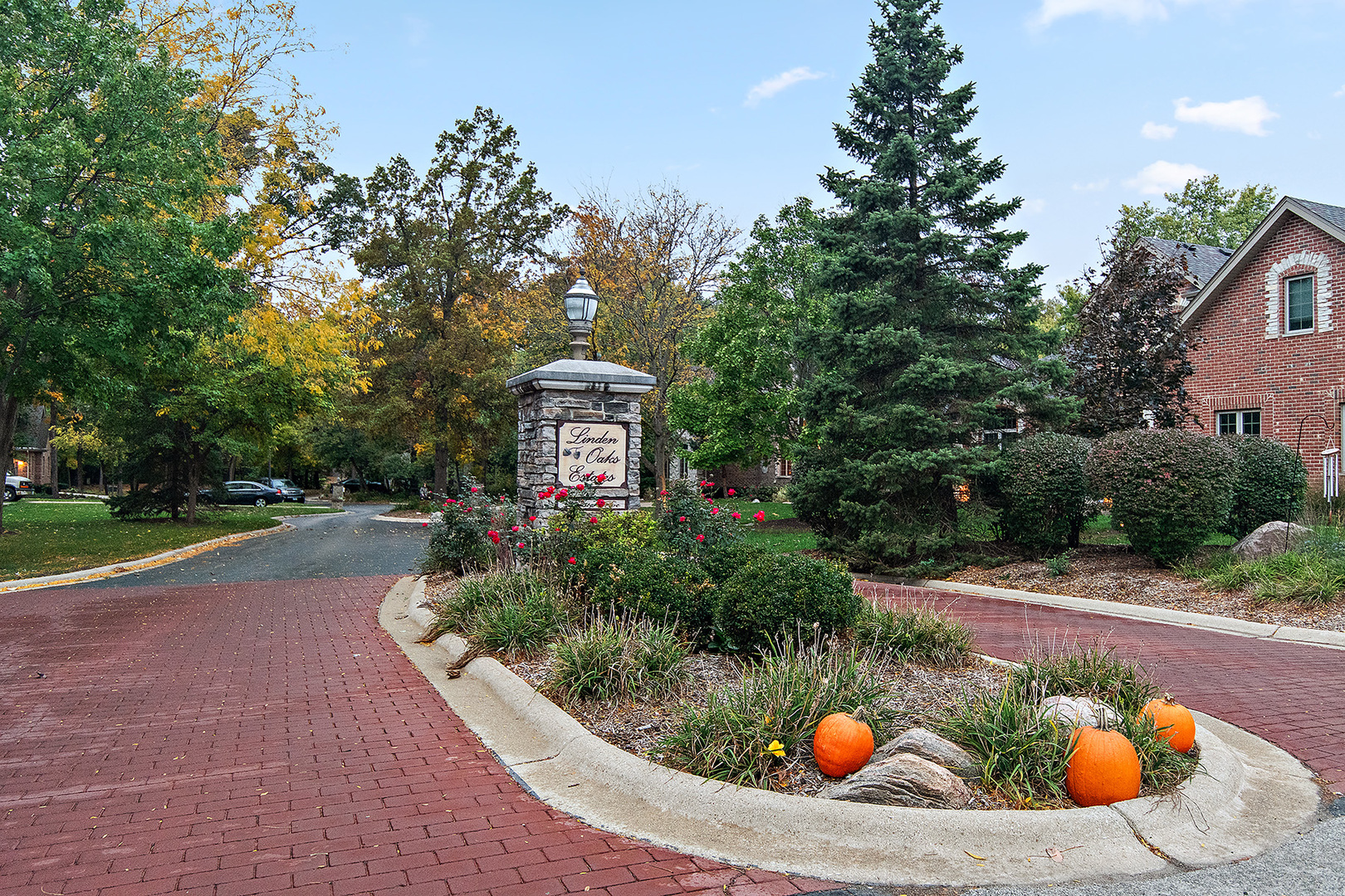 209 Linden Oaks Lane, New Lenox, IL 60451