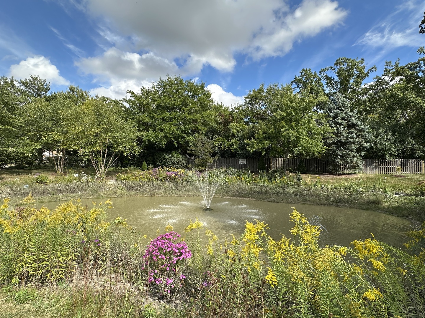 519 Banyon Lane #A, La Grange, IL 60525