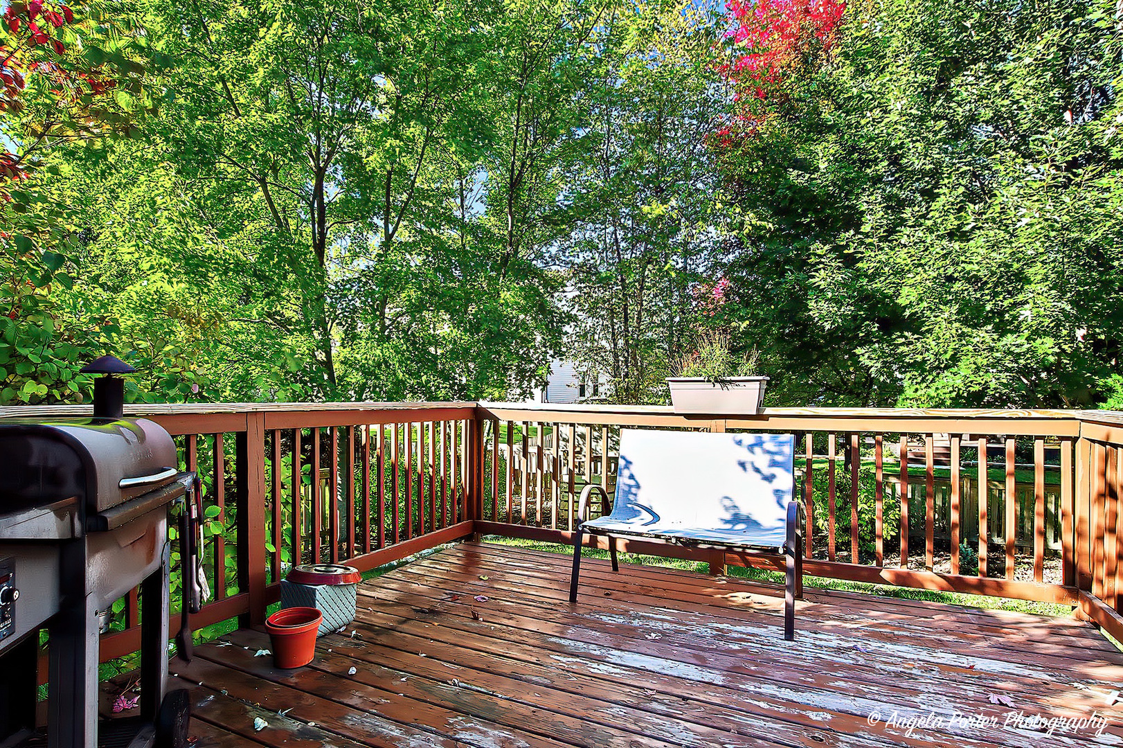 336 Hawthorn Lane, Antioch, IL 60002