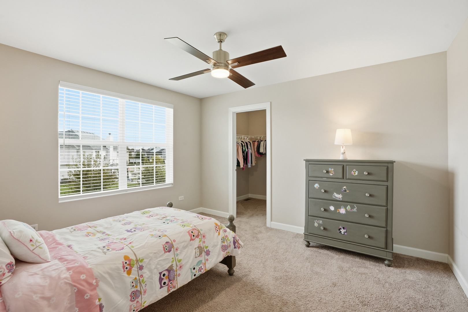 25415 W Rock Drive, Plainfield, IL 60586