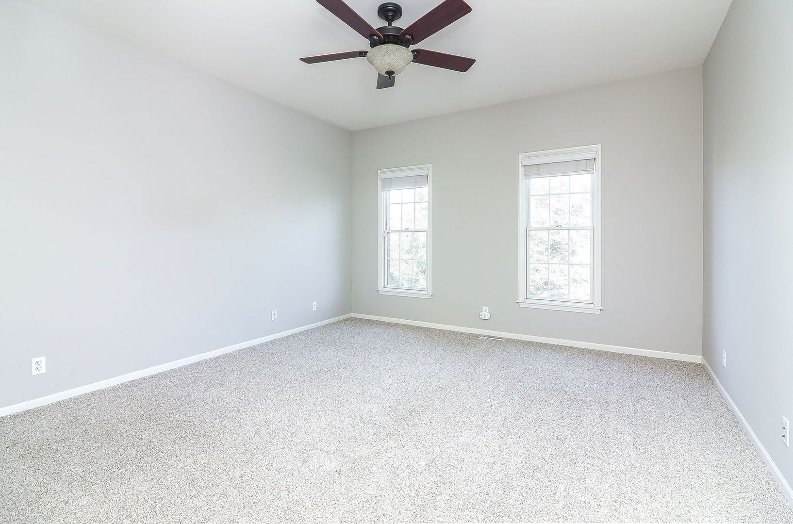 310 Big Rail Drive, Naperville, IL 60540