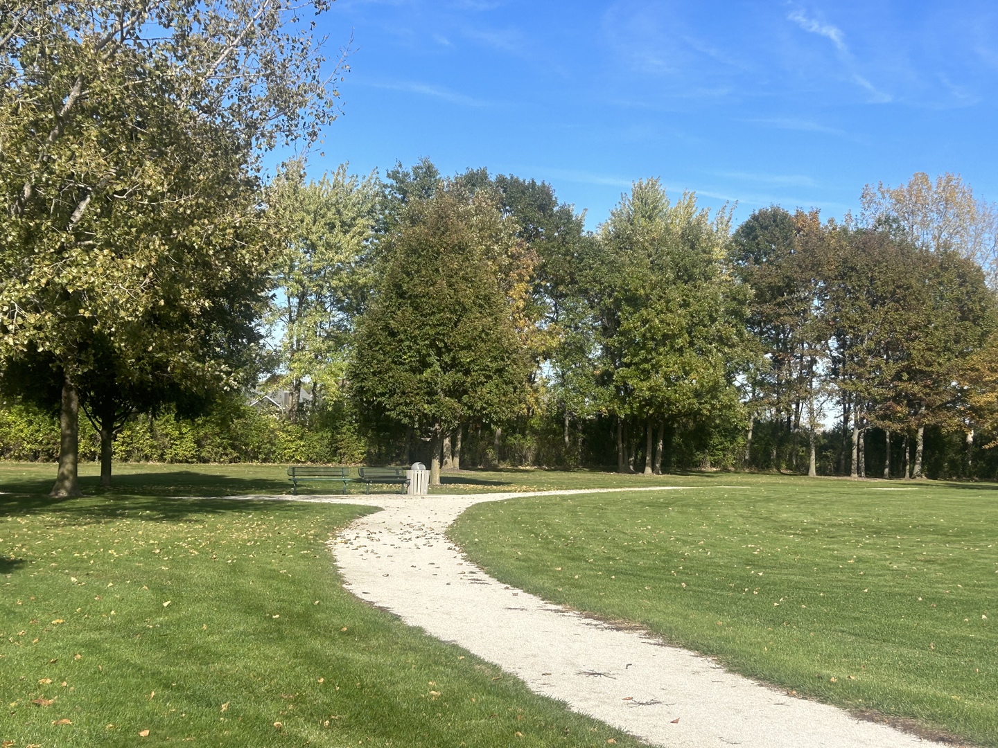 39W093 Shannon Square, Geneva, IL 60134