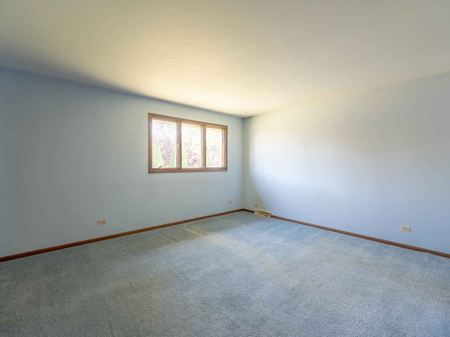 14533 Mallard Drive, Homer Glen, IL 60491