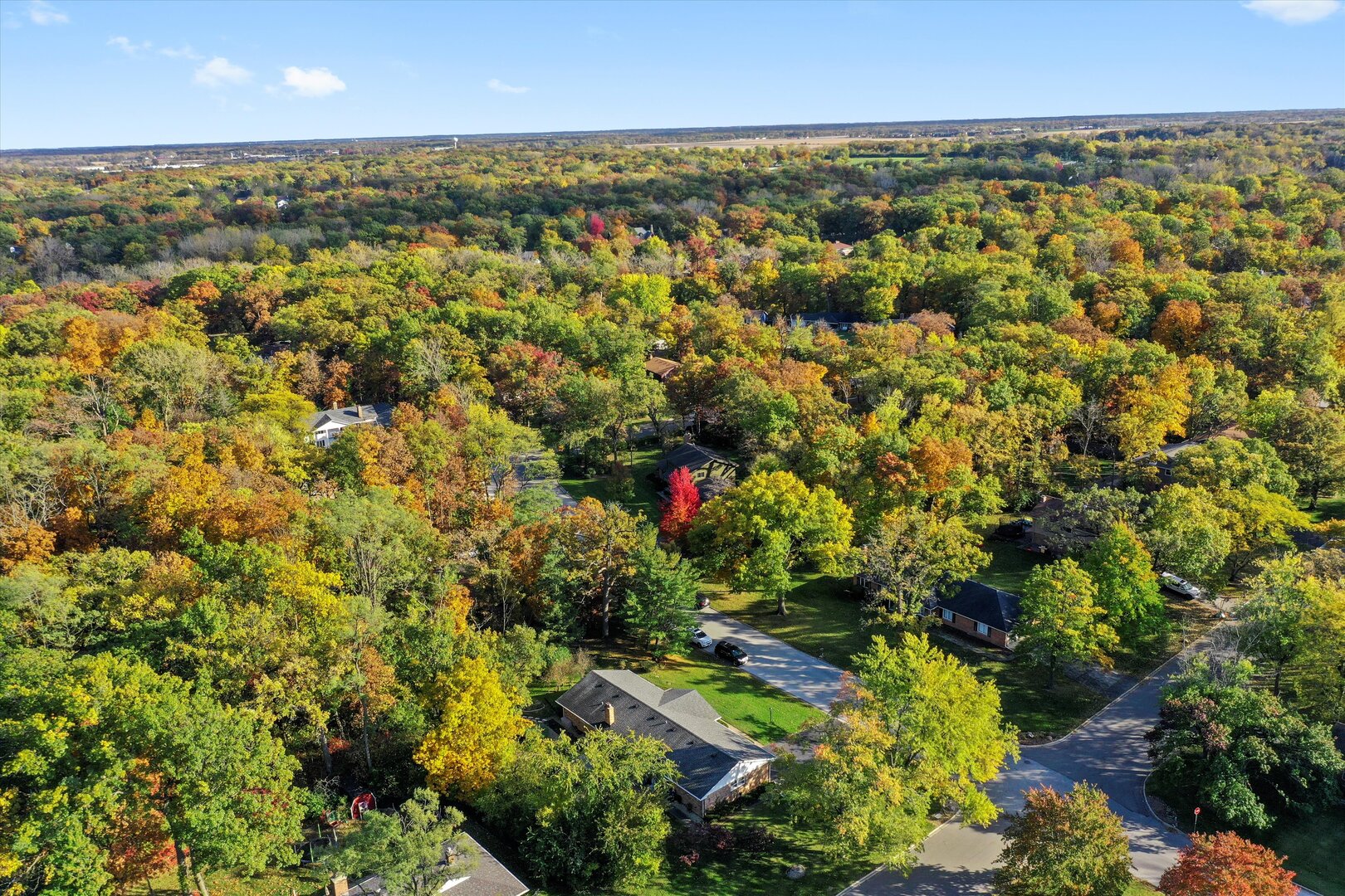 71 Hereford Drive, Crete, IL 60417