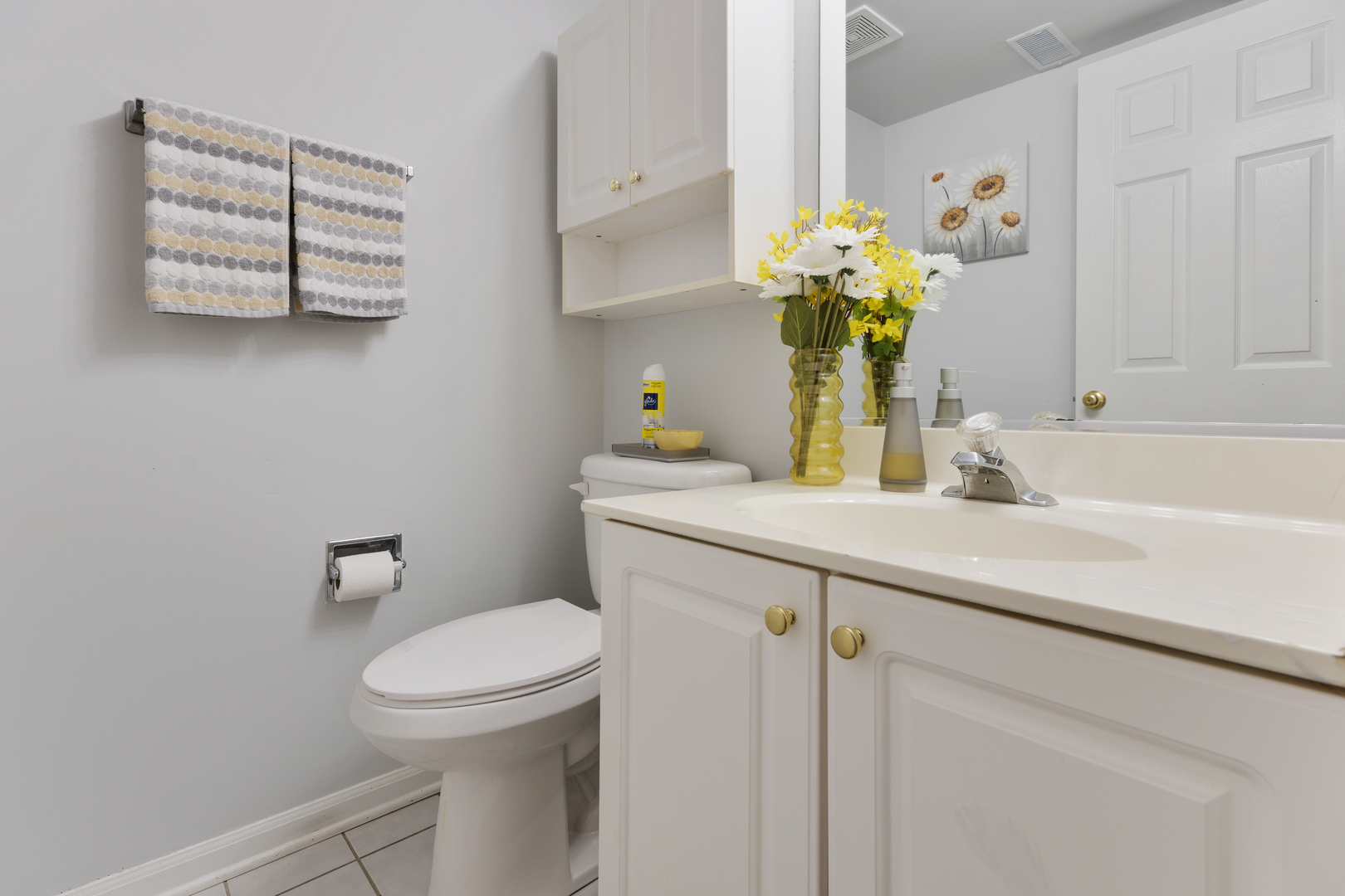 419 E Theodore Lane, Itasca, IL 60143