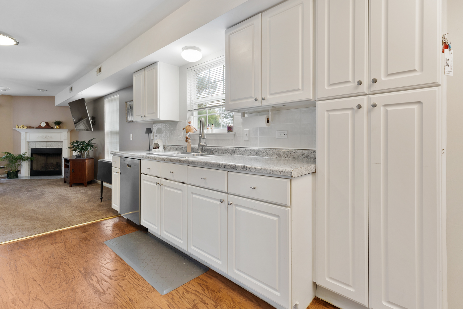 419 E Theodore Lane, Itasca, IL 60143