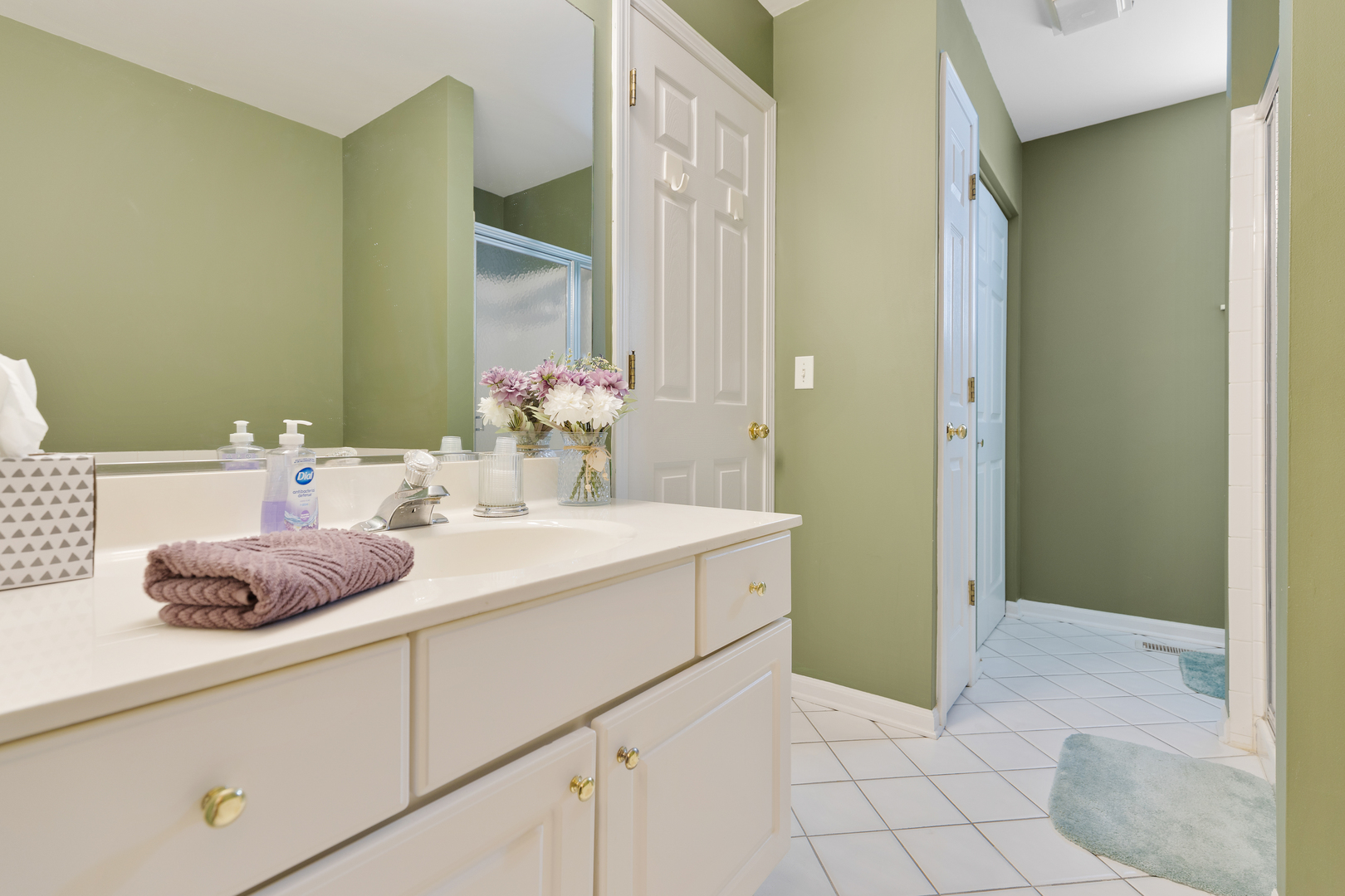 419 E Theodore Lane, Itasca, IL 60143