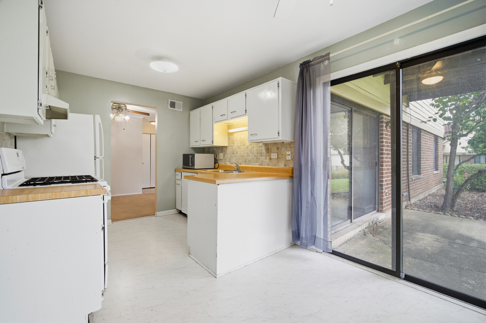 831 E Carriage Lane #1, Palatine, IL 60074