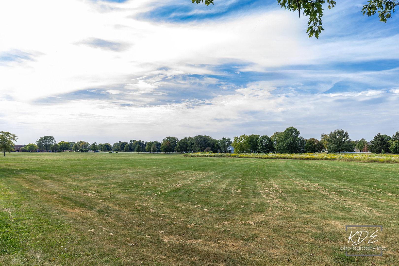 113 Cedarwood Avenue, Bolingbrook, IL 60440