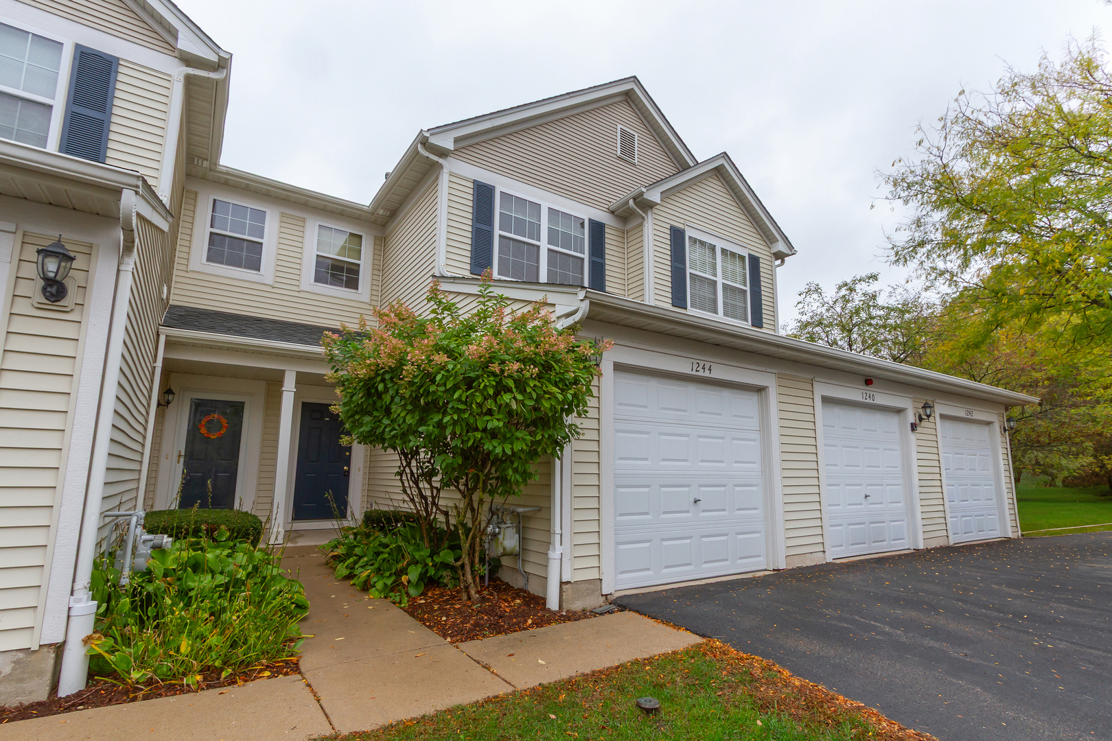 1244 Brookdale Drive #1244, Carpentersville, IL 60110