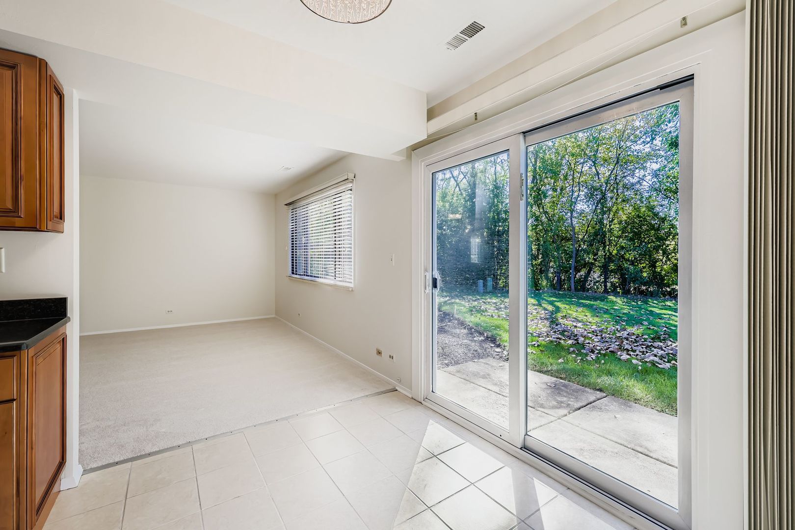 709 Whalom Lane, Schaumburg, IL 60173