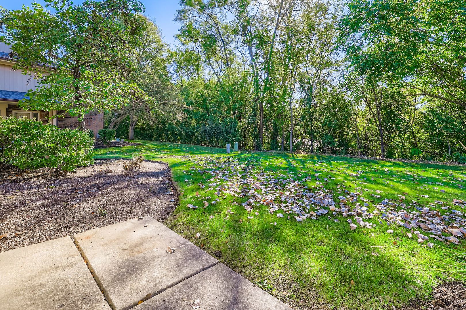 709 Whalom Lane, Schaumburg, IL 60173