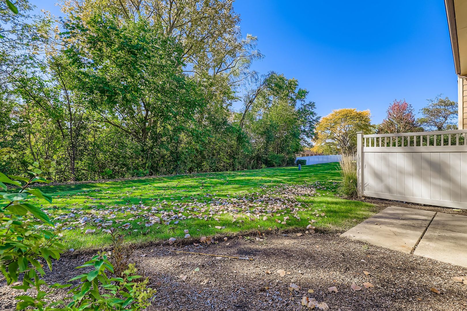 709 Whalom Lane, Schaumburg, IL 60173