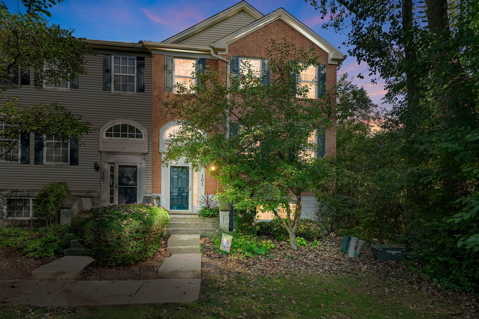 161 Patrick Avenue, Willow Springs, IL 60480