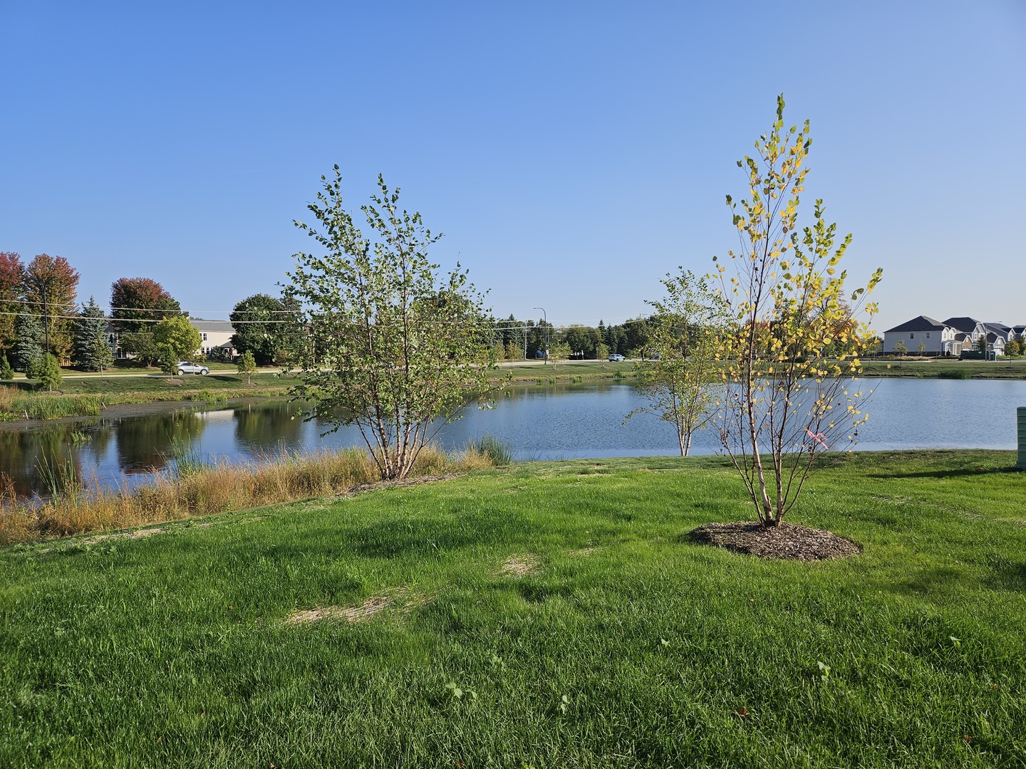 24408 W Alexis Lane #24408, Plainfield, IL 60585