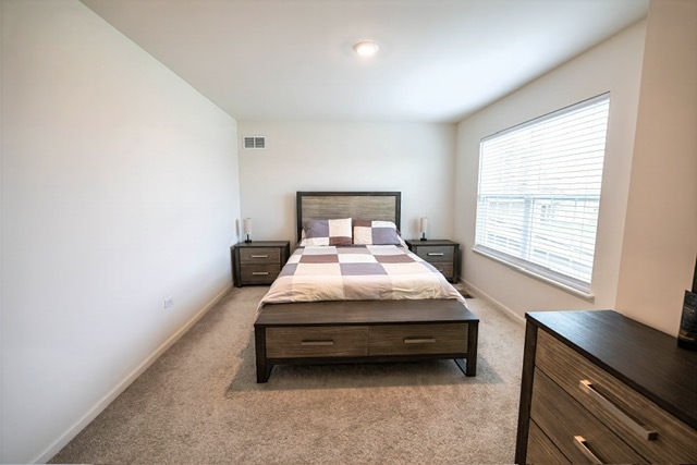 1828 Coralito Lane, Elgin, IL 60124