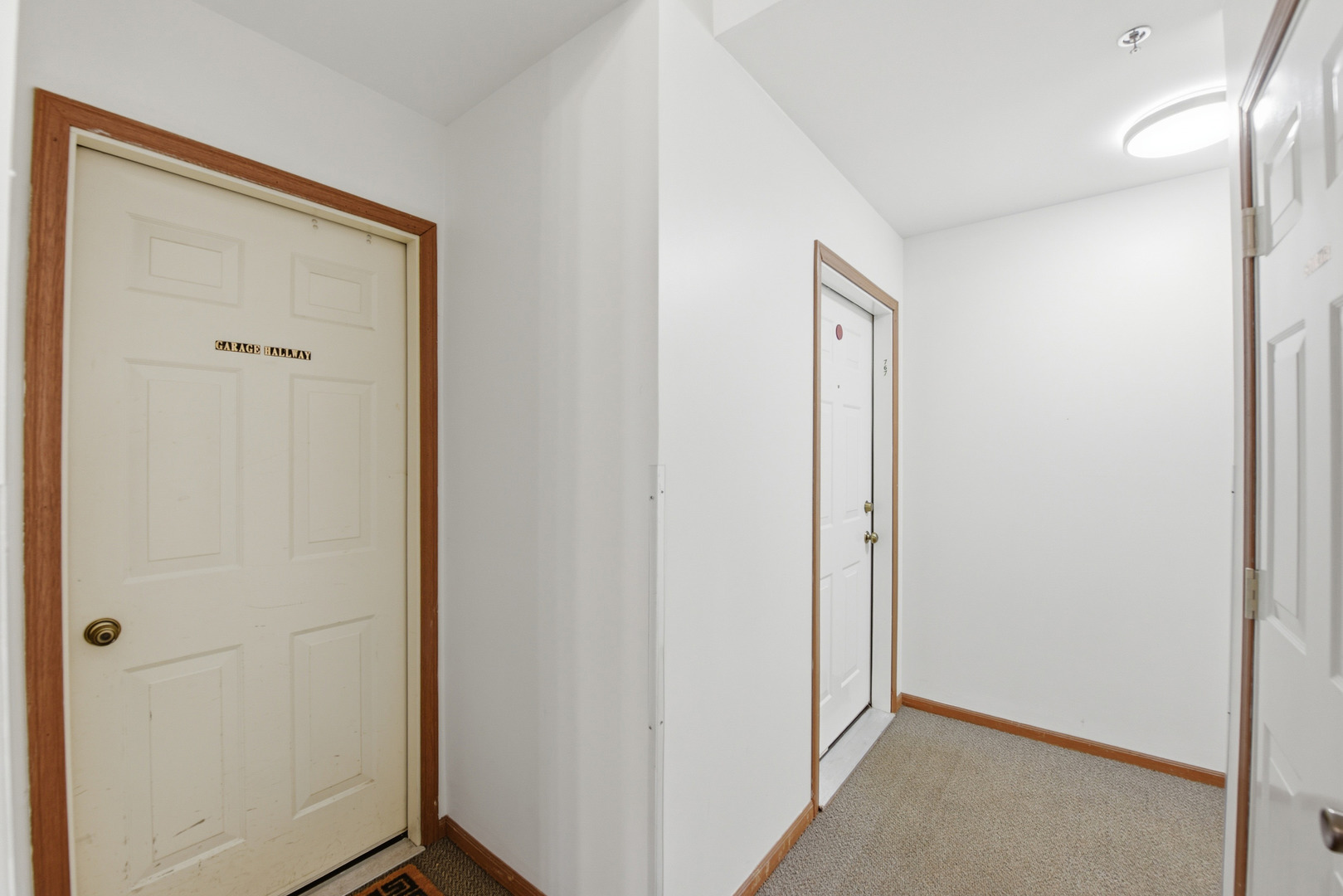 767 E Whispering Oaks Drive #767, Palatine, IL 60074