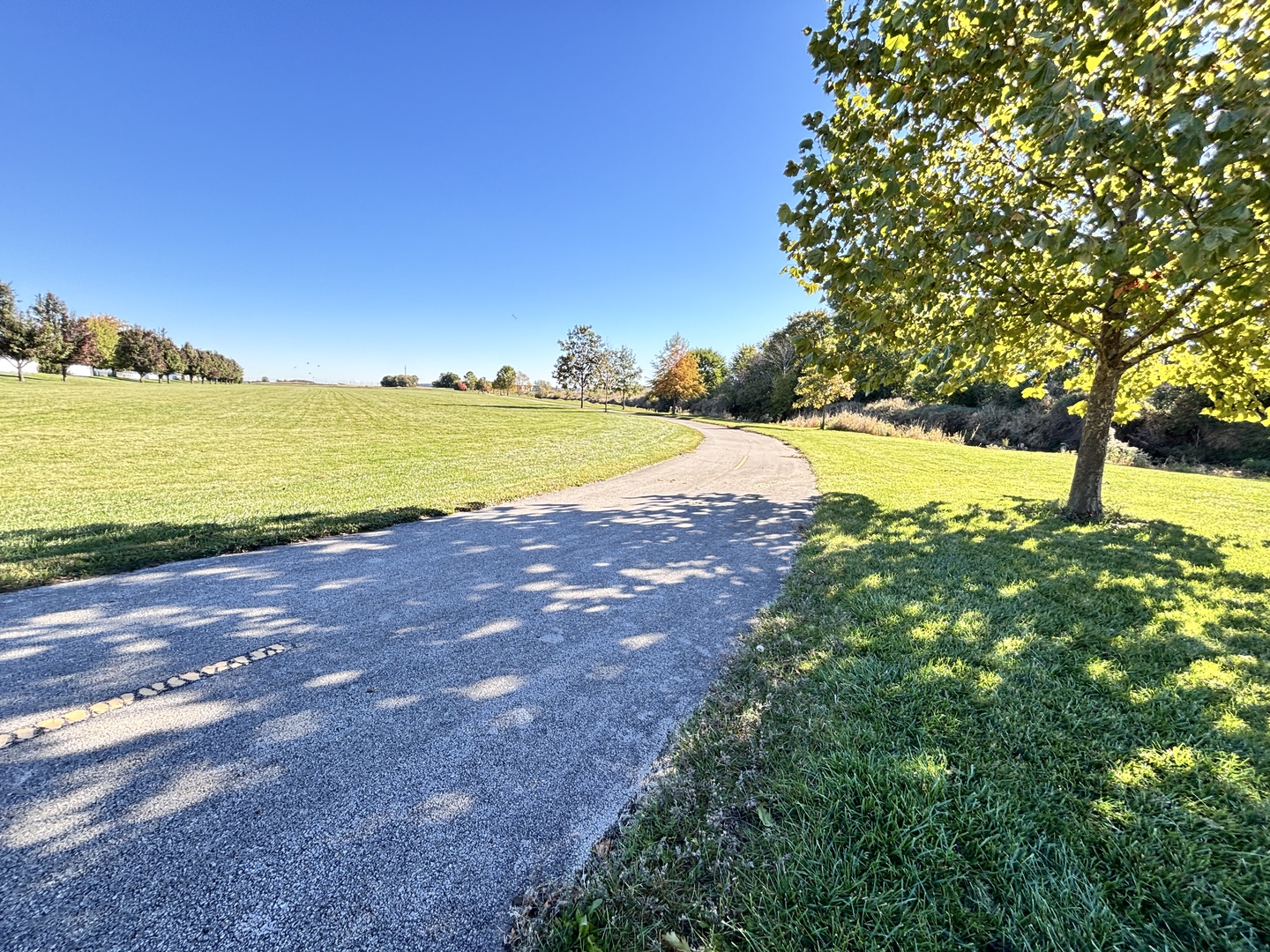 216 S Mcguire Drive, Manteno, IL 60950