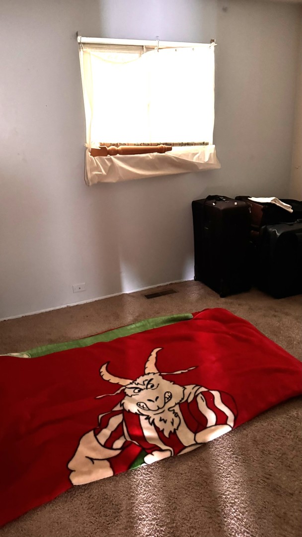 124 W Briarcliff Road, Bolingbrook, IL 60440