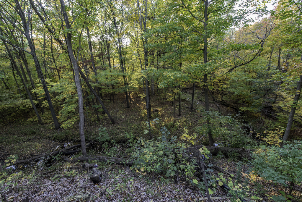 1414 Sheridan Road, Winthrop Harbor, IL 60096