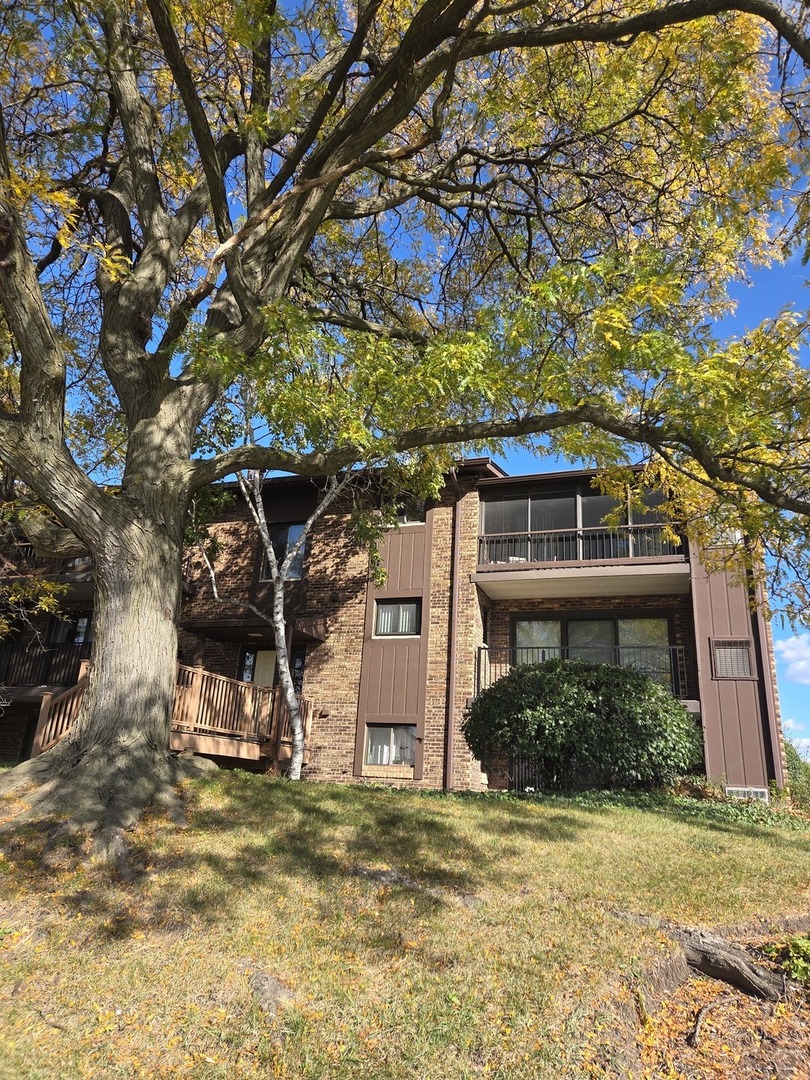 1327 Cass Lane #301, Westmont, IL 60559