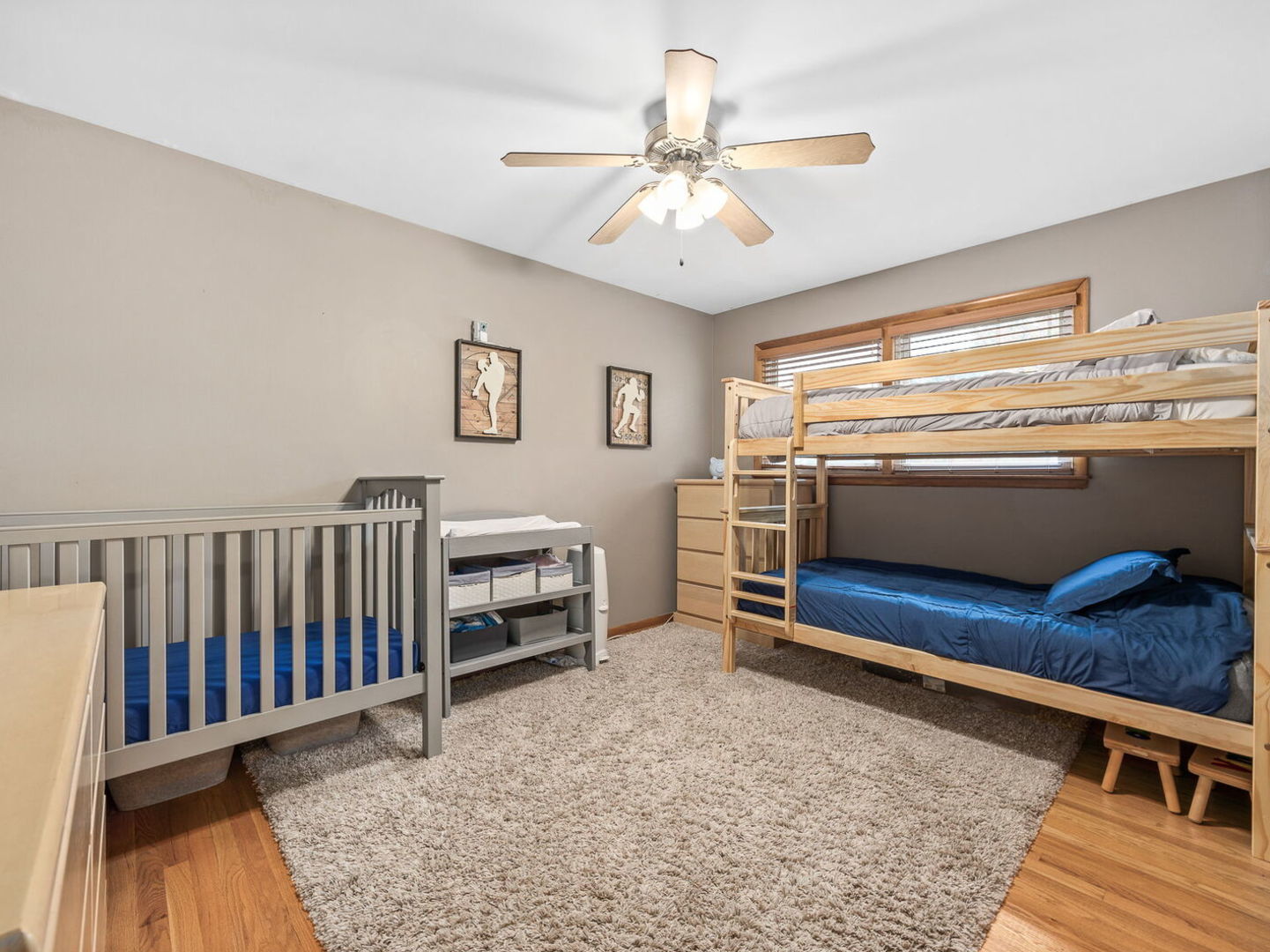 212 55th Place, Downers Grove, IL 60516