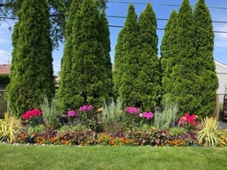 1157 W Grant Drive, Des Plaines, IL 60016