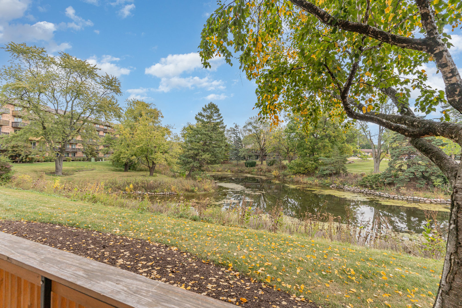 8025 Woodglen Lane #108, Downers Grove, IL 60516