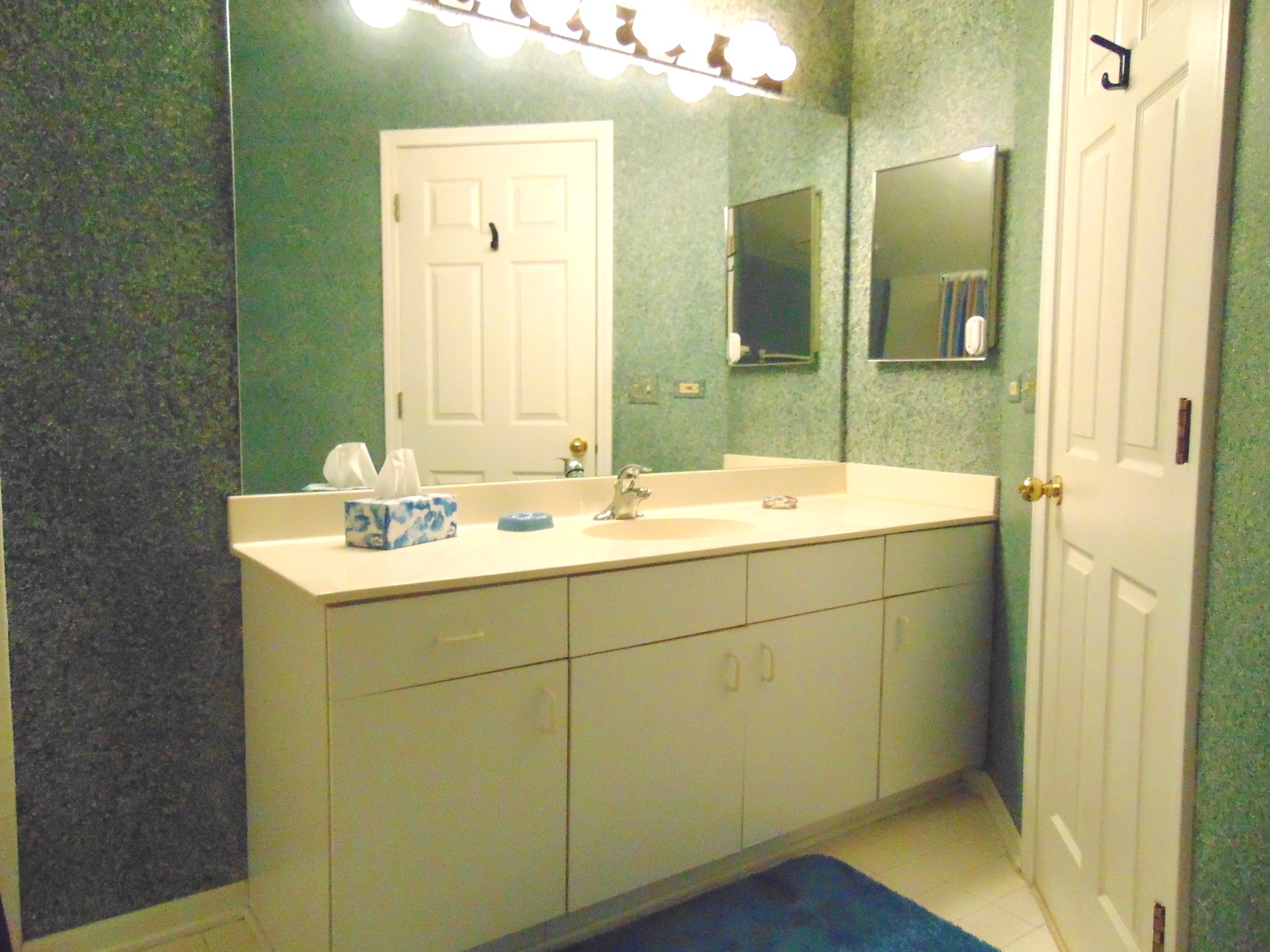 858 N Auburn Woods Drive, Palatine, IL 60067