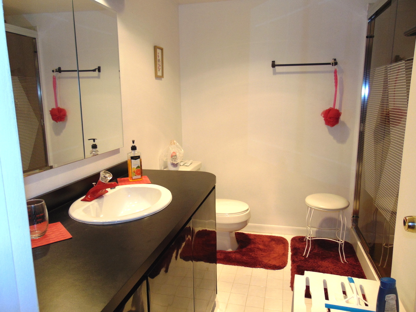 858 N Auburn Woods Drive, Palatine, IL 60067