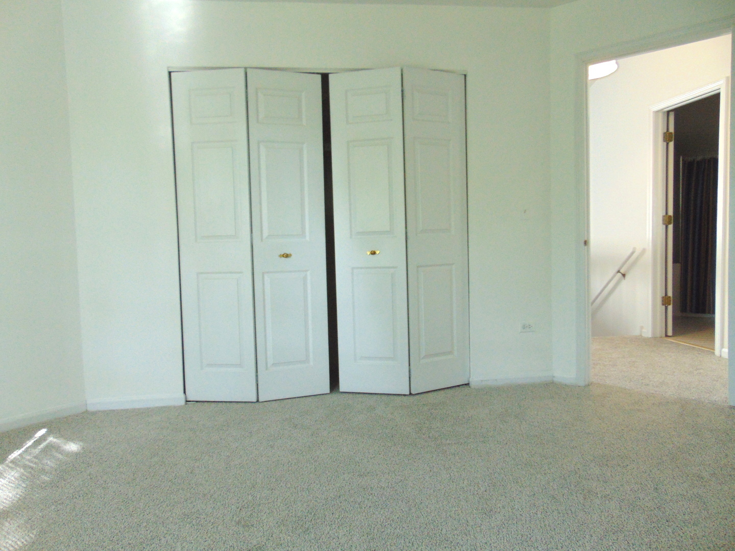 858 N Auburn Woods Drive, Palatine, IL 60067