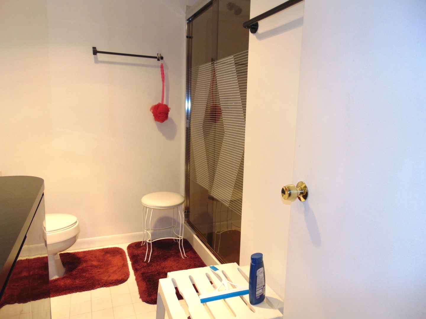 858 N Auburn Woods Drive, Palatine, IL 60067