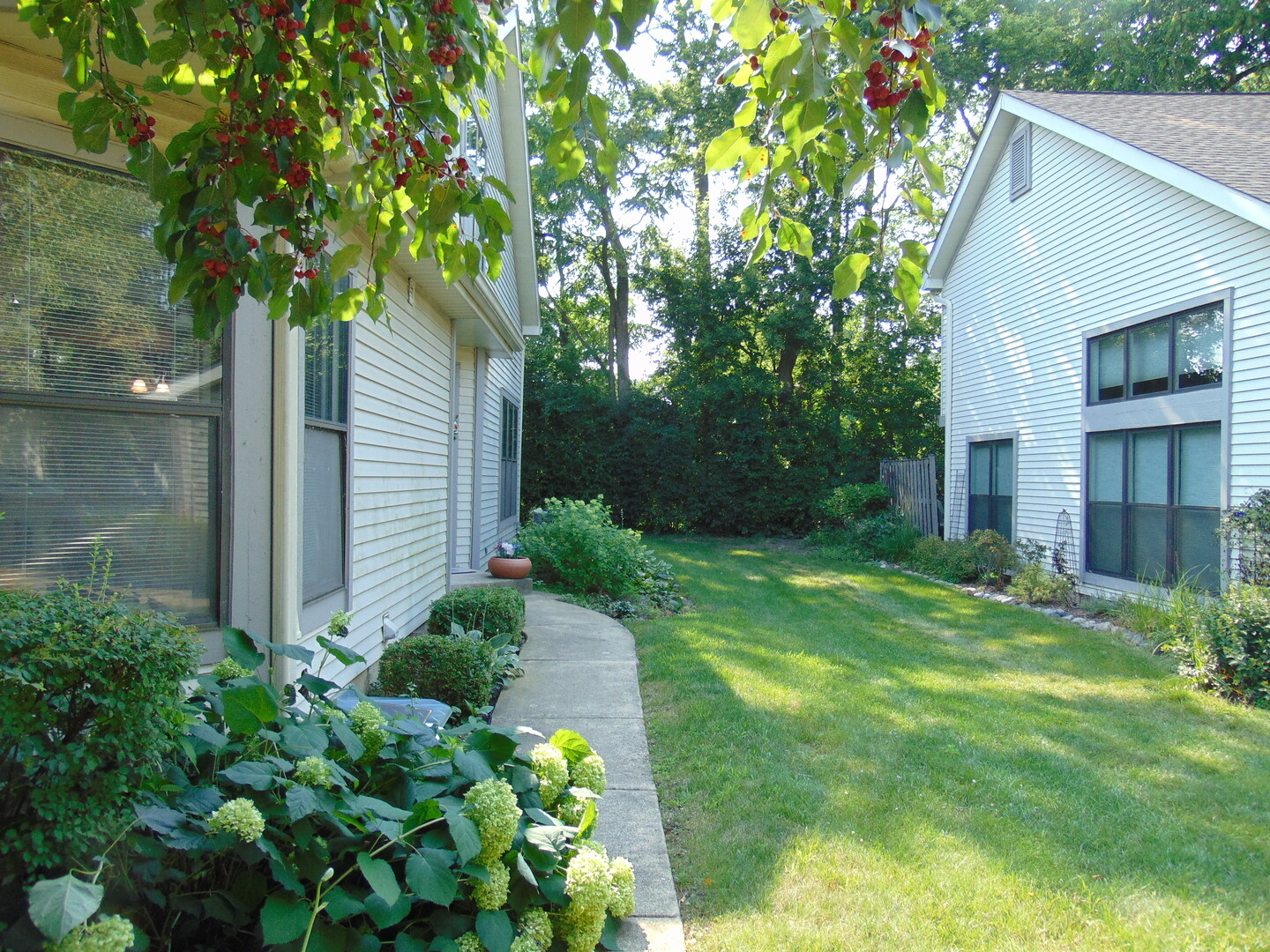 858 N Auburn Woods Drive, Palatine, IL 60067