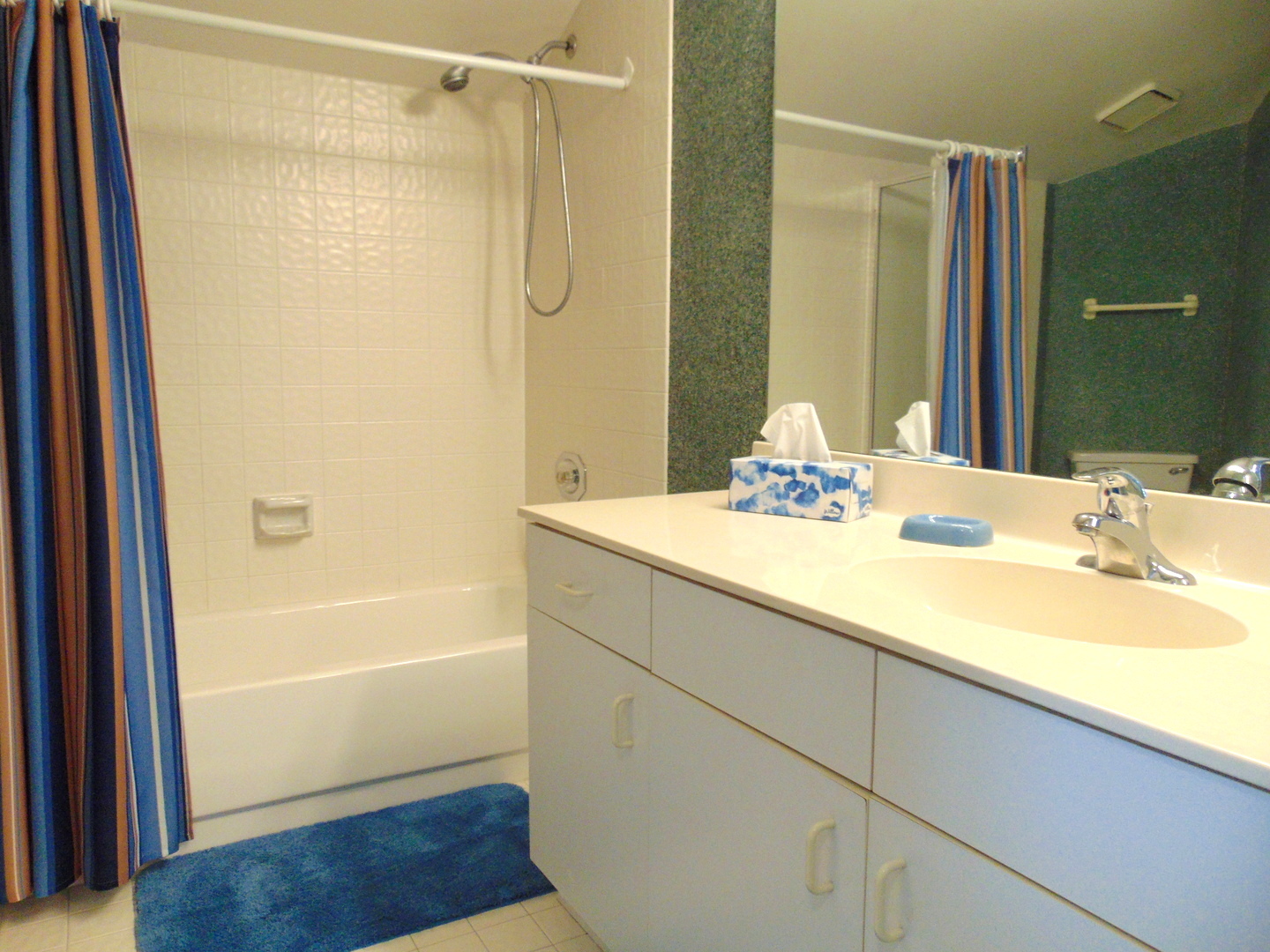 858 N Auburn Woods Drive, Palatine, IL 60067