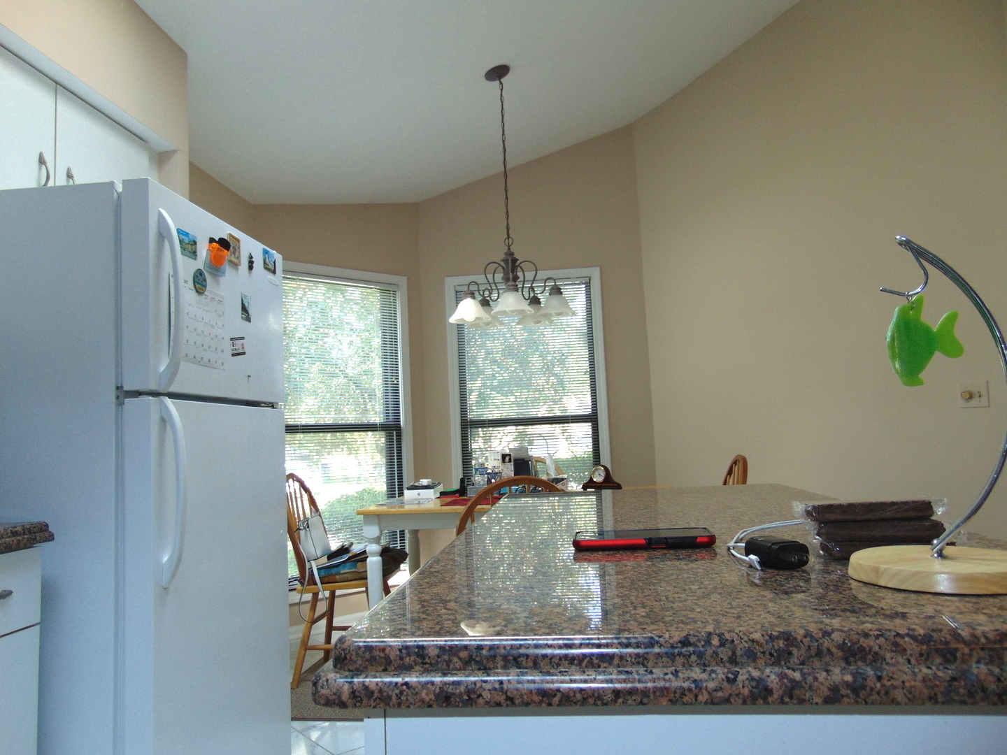 858 N Auburn Woods Drive, Palatine, IL 60067