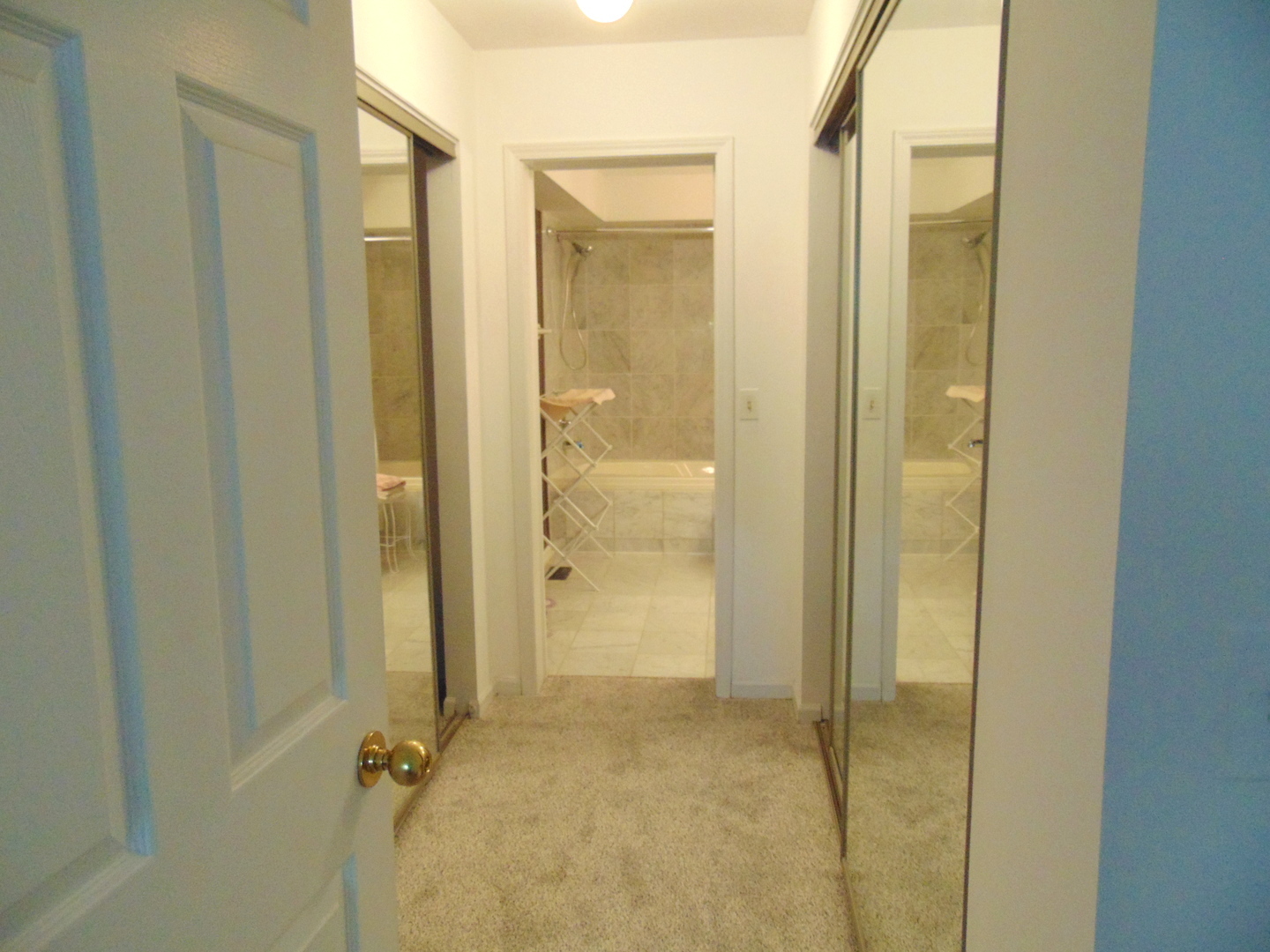 858 N Auburn Woods Drive, Palatine, IL 60067