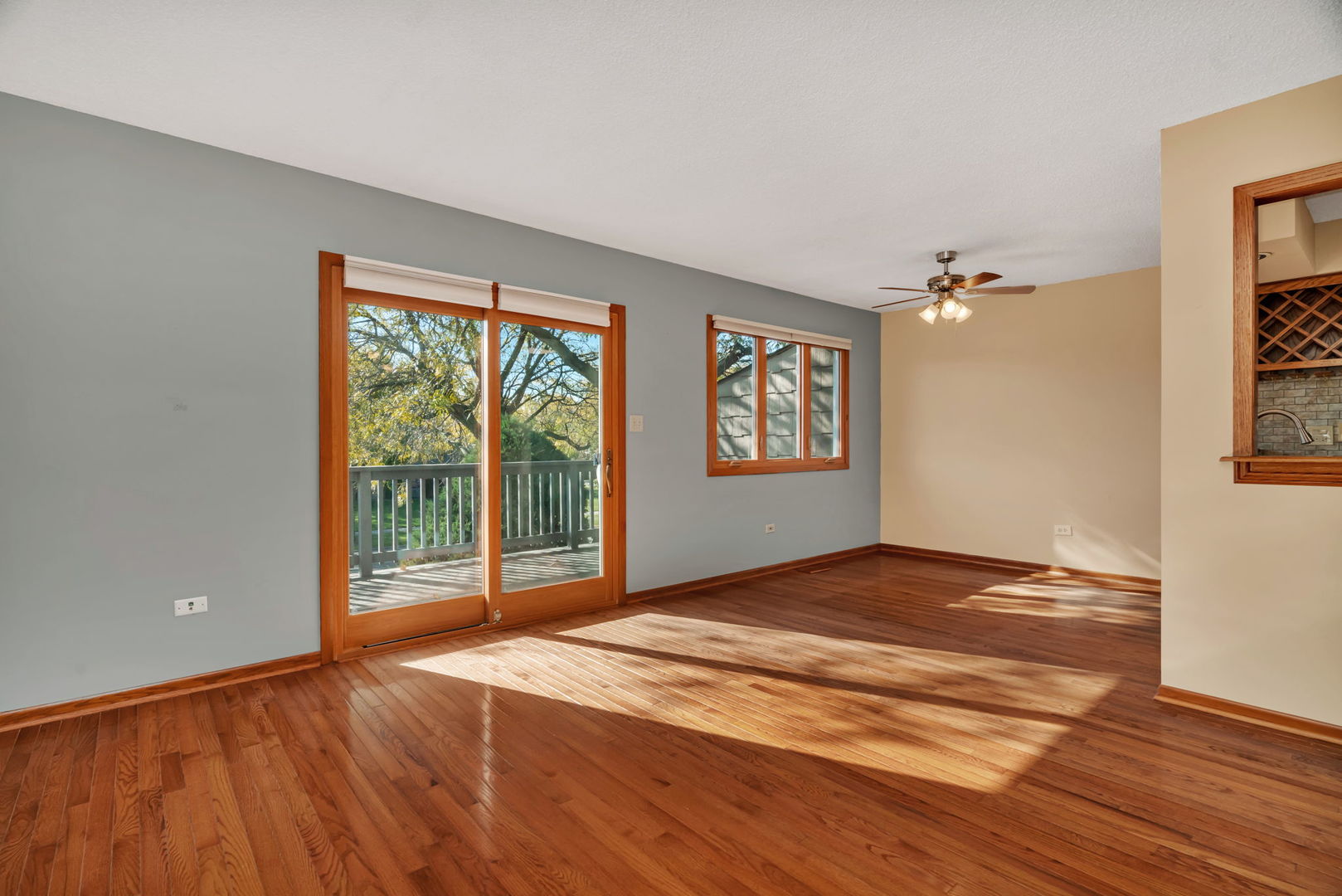 613 Johnson Avenue, Frankfort, IL 60423