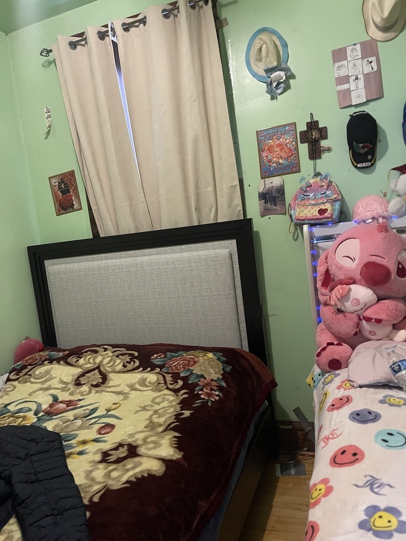 2531 S Avers Avenue, Chicago, IL 60623