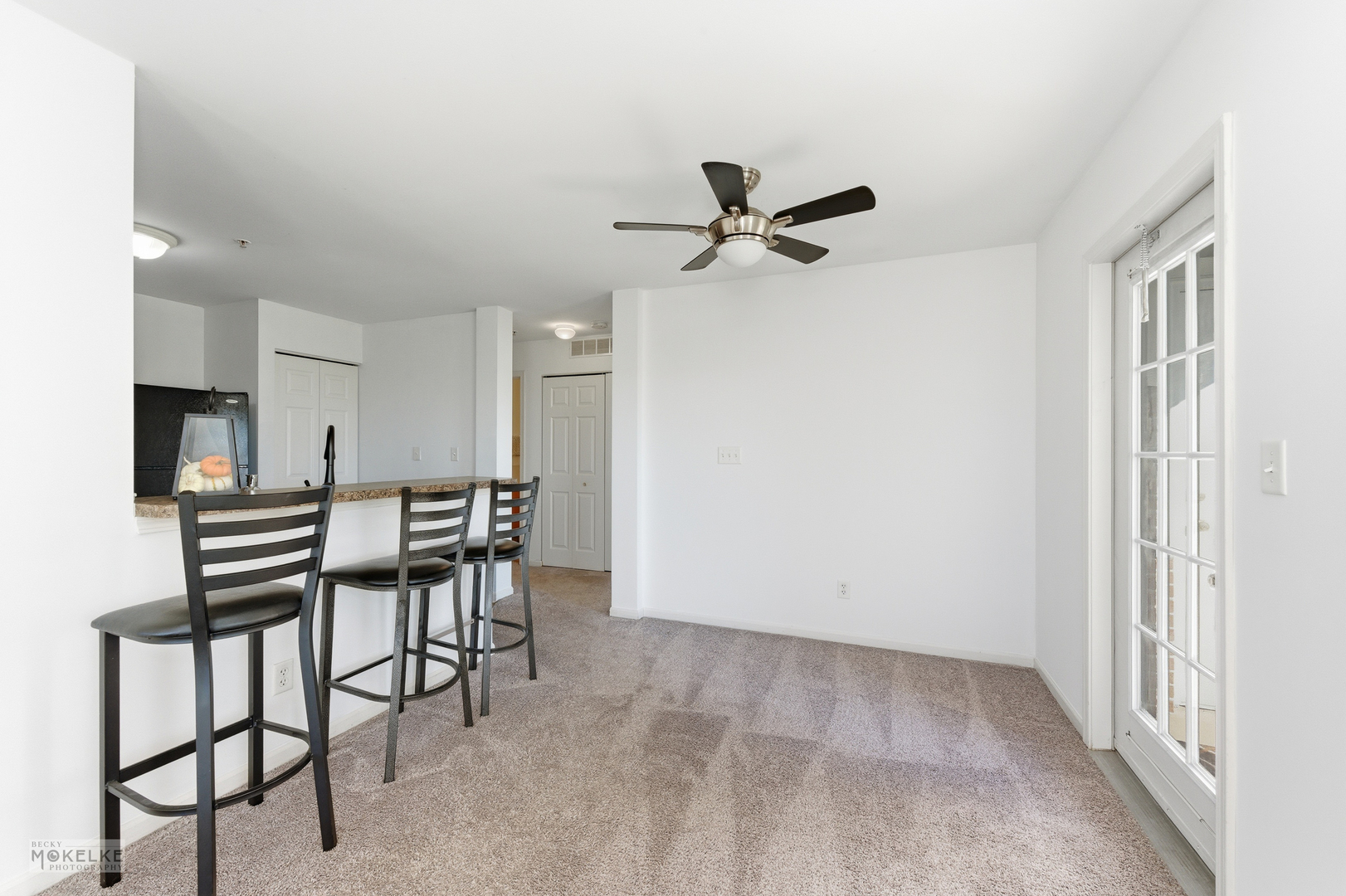 164 Bertram Drive #E, Yorkville, IL 60560