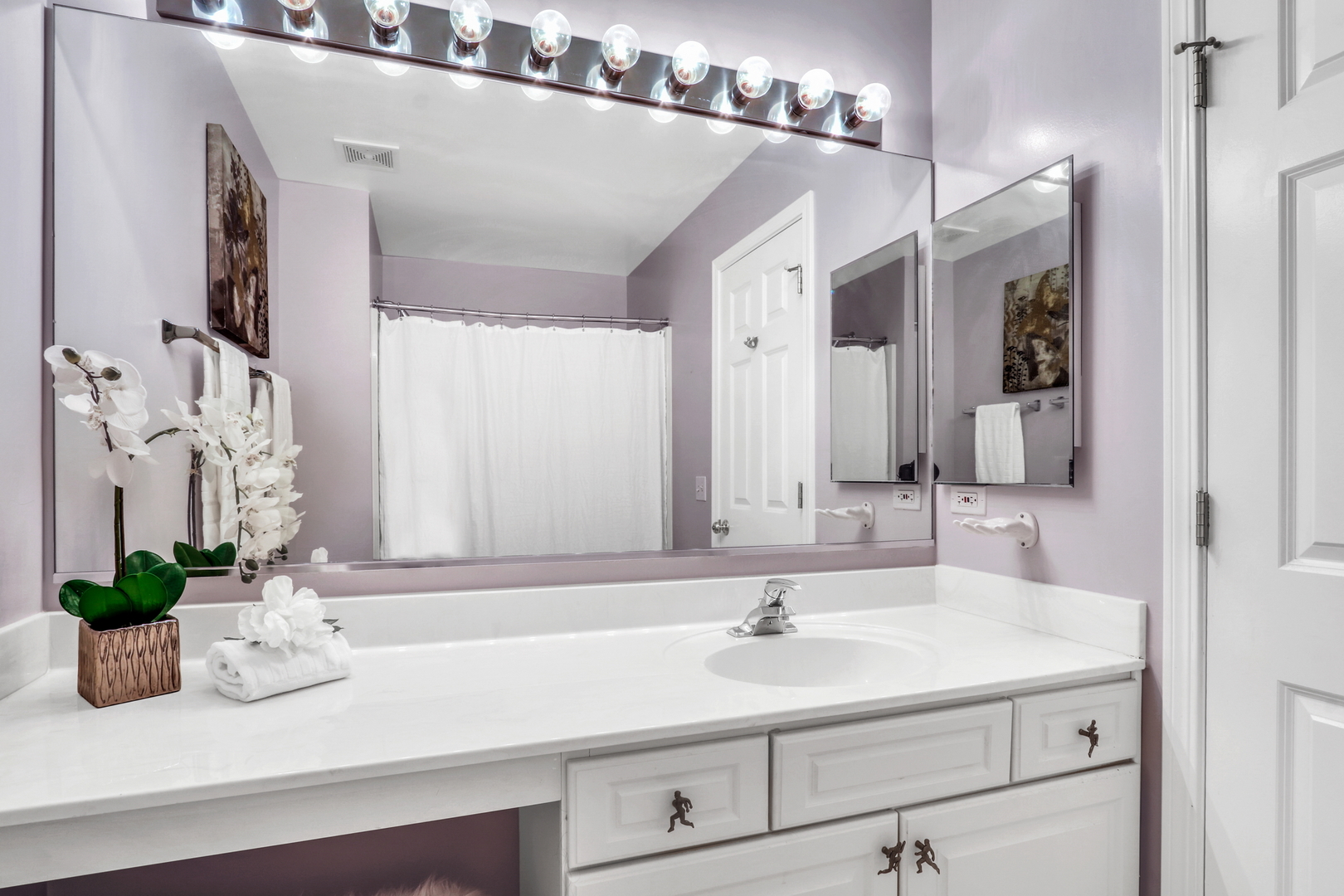 418 Bay Tree Circle, Vernon Hills, IL 60061