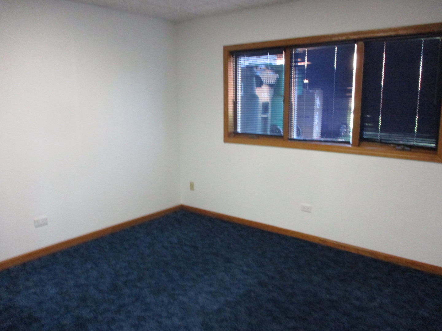 8030 Valley View Drive, Tinley Park, IL 60477