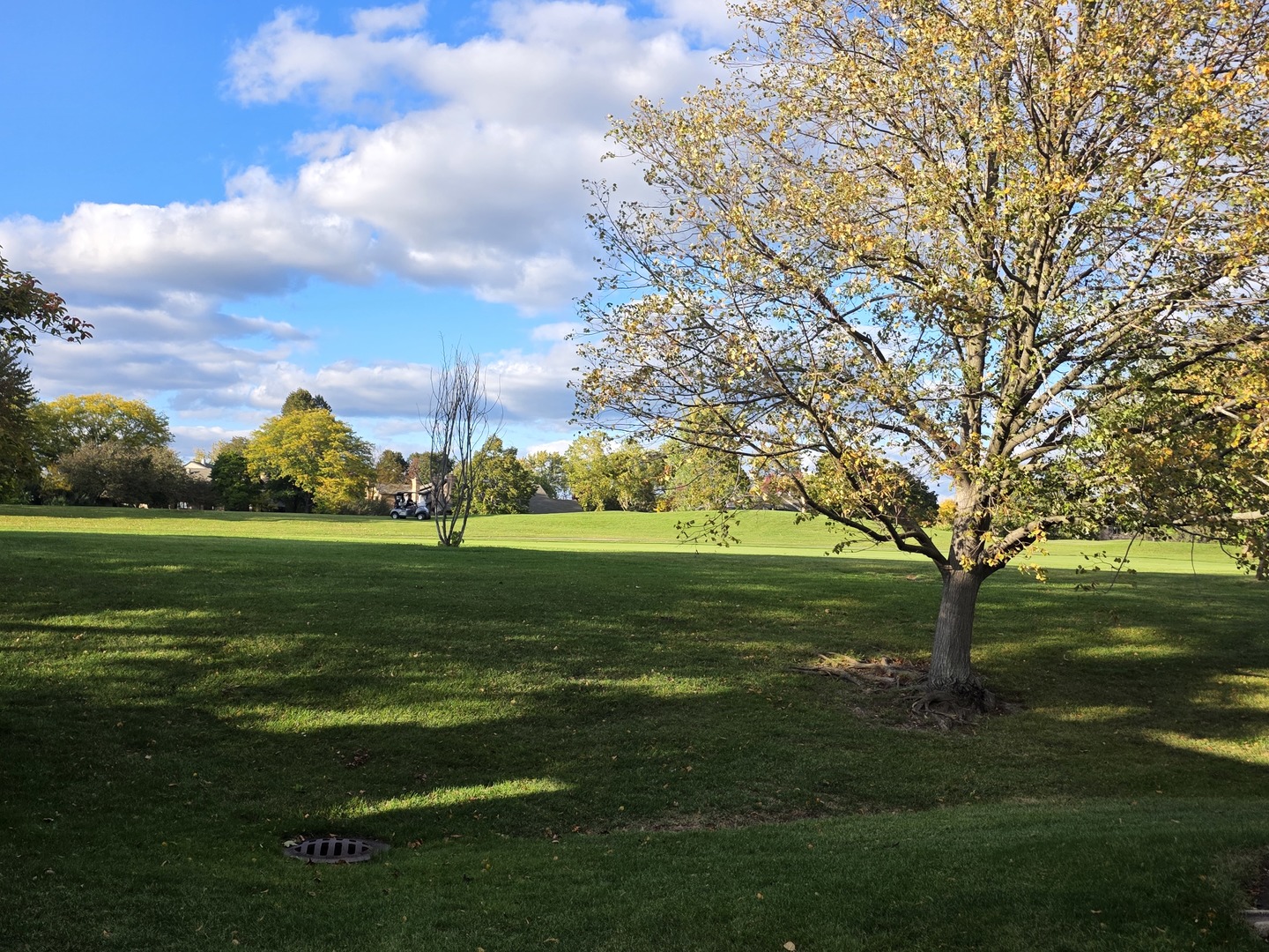 1764 Pebble Beach Drive, Hoffman Estates, IL 60169