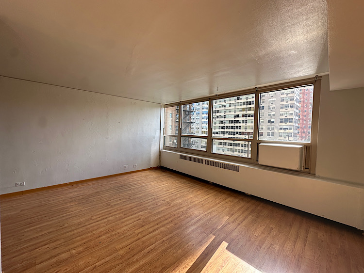 3950 N Lake Shore Drive #523D, Chicago, IL 60613
