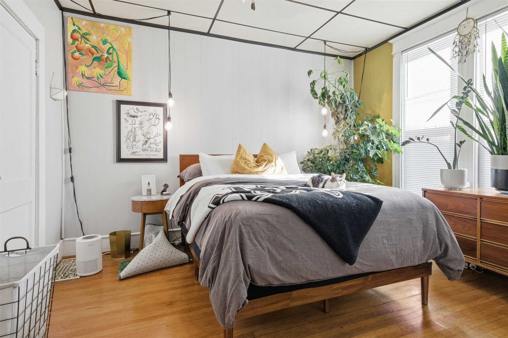 905 Elder Street, Bloomington, IL 61701