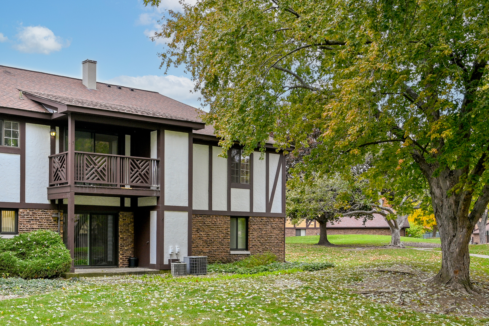 1751 Plymouth Court #B, Wheaton, IL 60189