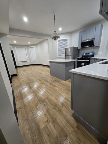 732 N Christiana Avenue #1, Chicago, IL 60624