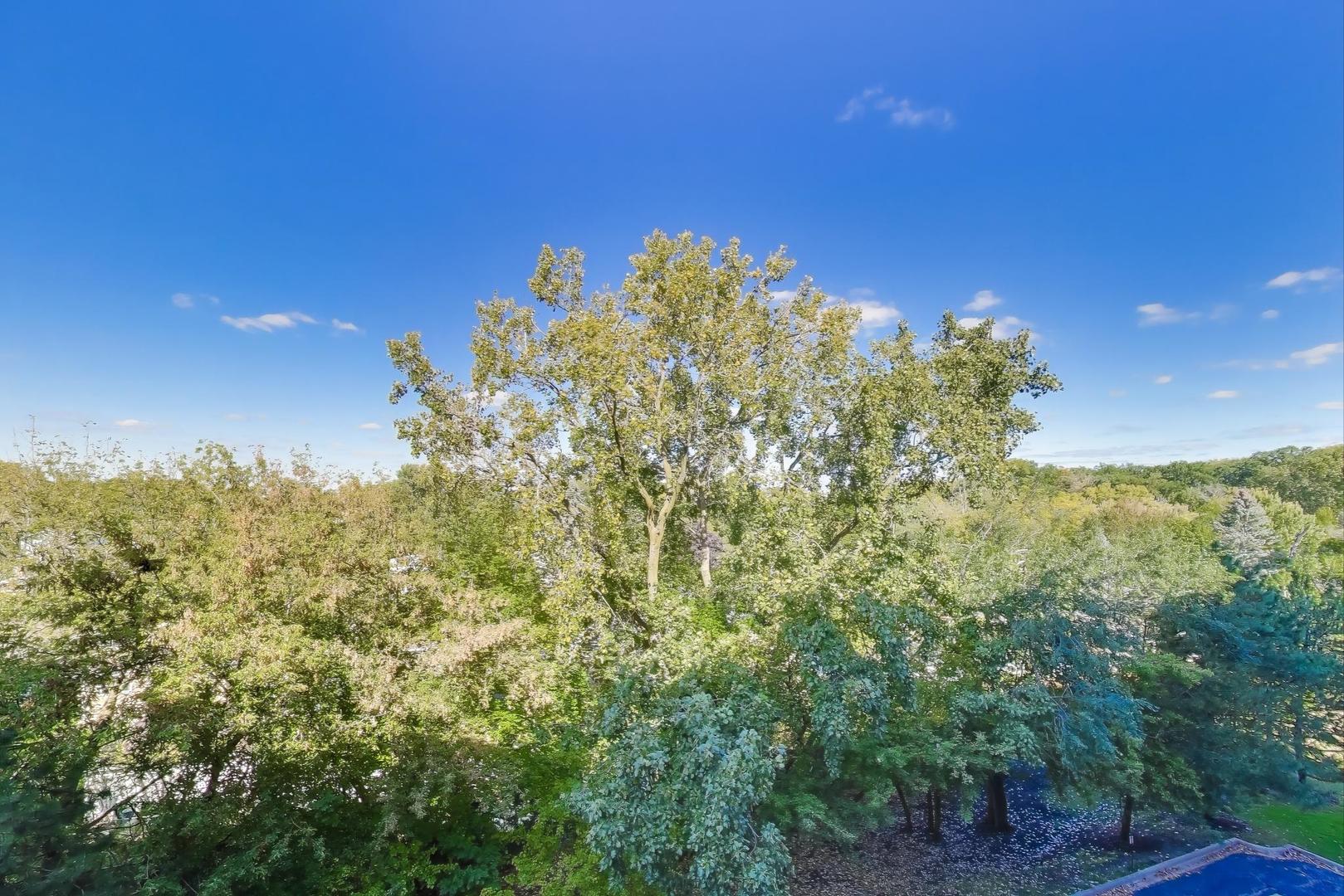 6815 N Milwaukee Avenue #506, Niles, IL 60714